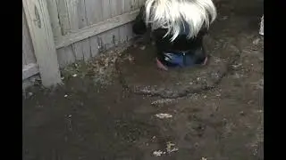 Sinking in mud