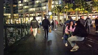Circular Quay at Night: A Beautiful Harbour Stroll