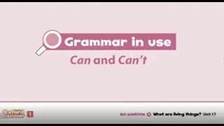 CAN AND CAN'T Oxford Discover 1 Unit 17 Grammar in Use