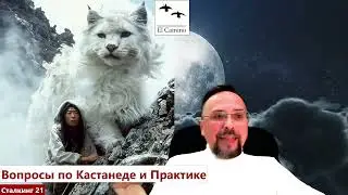 Воображение и ПРАКТИКИ