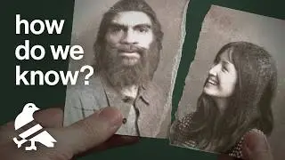 How do scientists know they hooked up?
