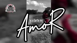 Esta Noche Voy a Verla - El Nuevo Golpe