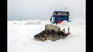 Секреты зимней рыбалки в Карелии.  Сямозеро.