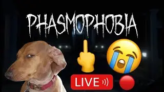 4th Prestige Struggles With No Evidence On Phasmophobia LIVE 🔴