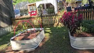 Adding Plant Protection to Vego Bed in Courtyard