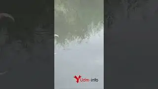 Загрязнение Валы