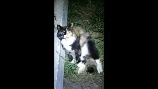 Клюëт?