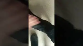 холеро холеро холеро