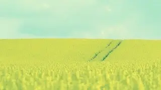 Музыка для сна или отдыха, музыкальная терапия