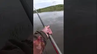 Напоследок клюнул БЕРШ.           
