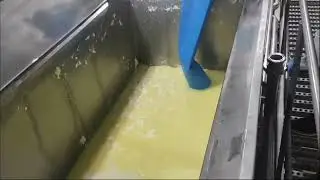 SISTEMA AUTOMÁTICO DE DESSORAGEM E ACIDIFICAÇÃO - AMV INDUSTRIAL