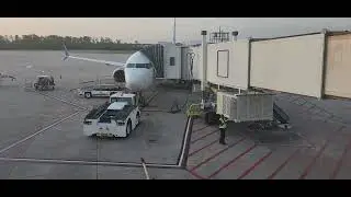 going back to Hawaii