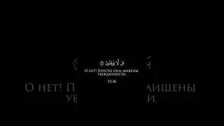 Коран   #коран #ислам #islam #islamic #islamicvideo #quran #quranic