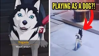 Playing Genshin Impact as a DOG 