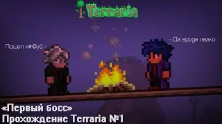 Прохождение Terraria №1  