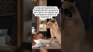 Когда договорились с мужем друг другу ничего не дарить 😅