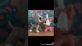 Na NTM U Shira Lps Miłość