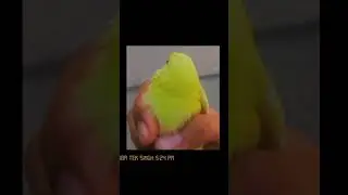 cute #bird new born #birdslover #birdsounds