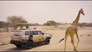 AL AIN ZOO | Advertising 2024