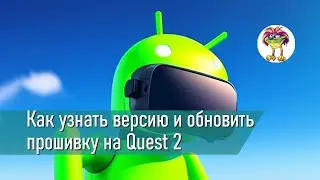 How do I find out the firmware version on Oculus Quest 2 and activate new chips?