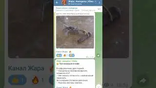 Крабовая палочка