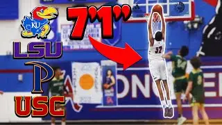 The BEST 7'1