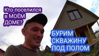 Бурим скважину для воды.  Кто поселился в моем доме?