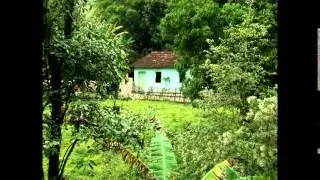 FAMILIA LEITE -