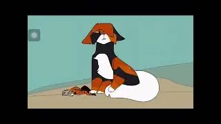 Please kitty’s wake up