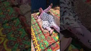 BANGUN TIDUR KU TERUS LARI 🏃‍♀️| TIKTOK NURRAYNI25