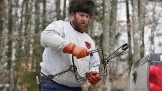 Ставим капкан на бобра, на плотине.