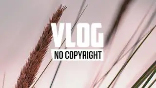LiQWYD - Feel Me (Vlog No Copyright Music)
