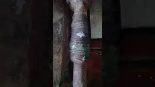 ОХУЕЛИ СОСЕДИ РЯДОМ СУКИ