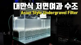 대만식 저면여과 수조만들기 Asian Style Undergravel Filter for small fish