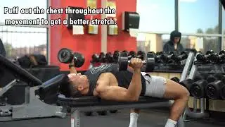 Dumbbell Chest Flyes - How To Demo