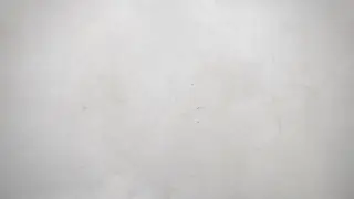 D2