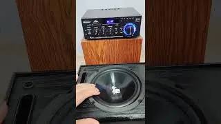 Extreme bass test subwoofer 💥⚡#bluetoothamplifier #hifi #homeaudio #woopker #ak45pro #dj #shorts