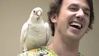 How To Clip Your Bird's Nails