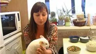корм для шиншилл . Все О Домашних Животных.