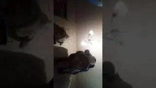 Распаковка подарков