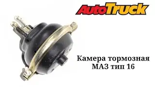 Камера тормозная МАЗ тип 16 100-3519110