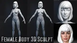 Female Body 3D Sculpt (ZBrush Character)
