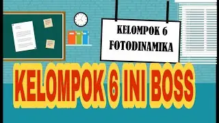 Terapi Fotodinamika, Kelompok 6