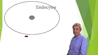 Endo och Exocytos