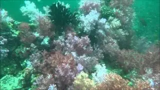 Snorkeling Koh Lipe april 2014