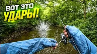 ОТ ТАКИХ ПОКЛЁВОК ЗАМИРАЕТ СЕРДЦЕ 😳 ГОЛАВЛЬ НИКОГДА не ДАЕТ ЗАСКУЧАТЬ 😎 СПИННИНГ на МАЛЫХ РЕКАХ