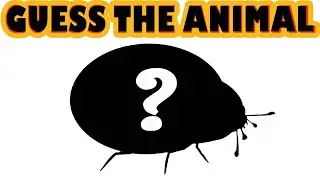 Can You Guess the Animal Quiz#3 | Guess the Animals Shadow | Animal Quiz Guessing Game