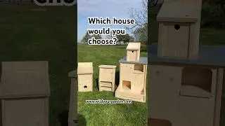 Which is your favourite?