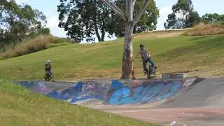 Oliver Frank - Whip to bar spine