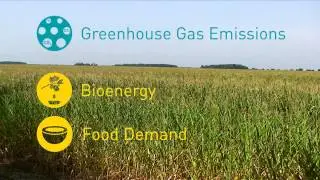 CC-LandStraD - Interdependencies between land-use and climate change